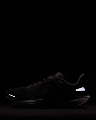 NIKE AIR ZOOM PEGASUS 41 SP BLACK TEA