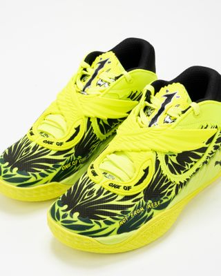 PUMA MB.05 VOLTAGE