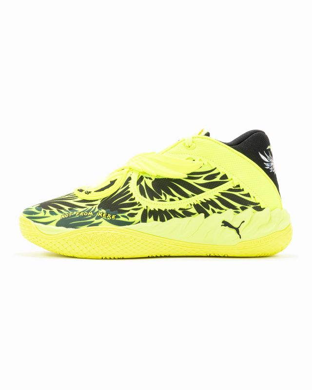 PUMA MB.05 VOLTAGE