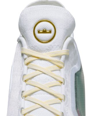 IB9557-100-dff NIKE LEBRON XXIII ELITE FOR THE RECORD