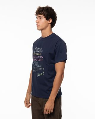 PLEASURES THESAURUS SS TEE NAVY