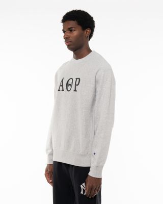 CHAMPION CREWNECK SWEATSHIRT GREY