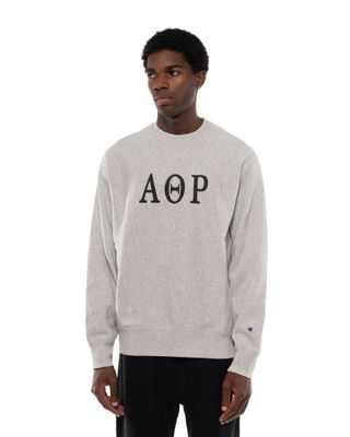 CHAMPION CREWNECK SWEATSHIRT GREY