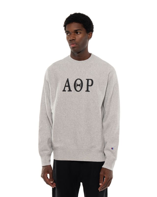 CHAMPION CREWNECK SWEATSHIRT GREY
