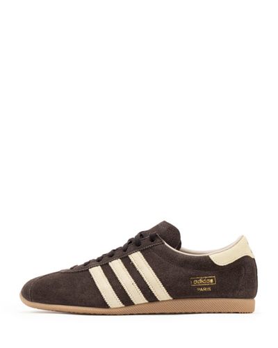 ADIDAS PARIS AURORA COFFEE